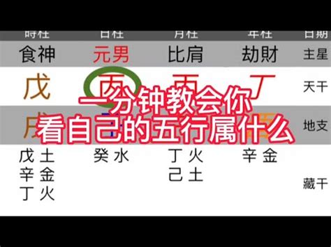 天運要寫什麼|天運命運補運專家：精準補運疏文撰寫全指南